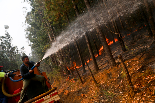 A man battles approaching wildfires in Hualqui, southwest of the Chilean capital, on January 28th, 2017. Image: Esteban Felix/AP